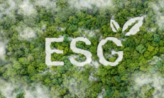 ESG 경영